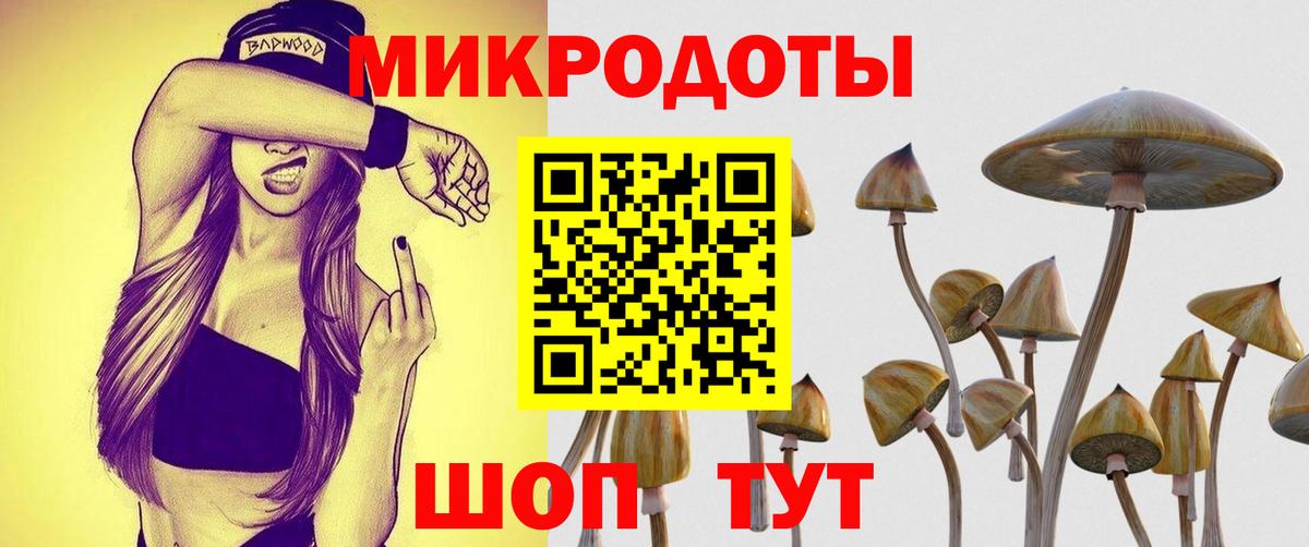 Старая Купавна  Псилоцибиновые грибы мухоморы  Вход с VPN 